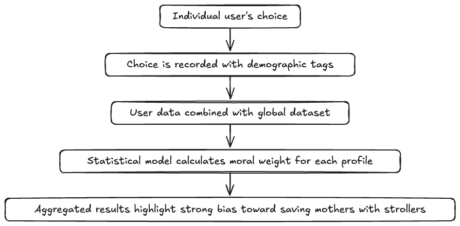 Why did MIT’s moral machine prioritize mothers with strollers? 4 image 3 SimpleScienceAnswers